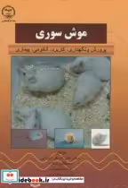 قیمت و خرید کتاب موش سوری اثر تهرانی | ایده بوک