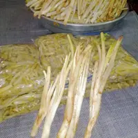 کنگر  پخته شده اماده برای کنگر ماست وخورشت 
