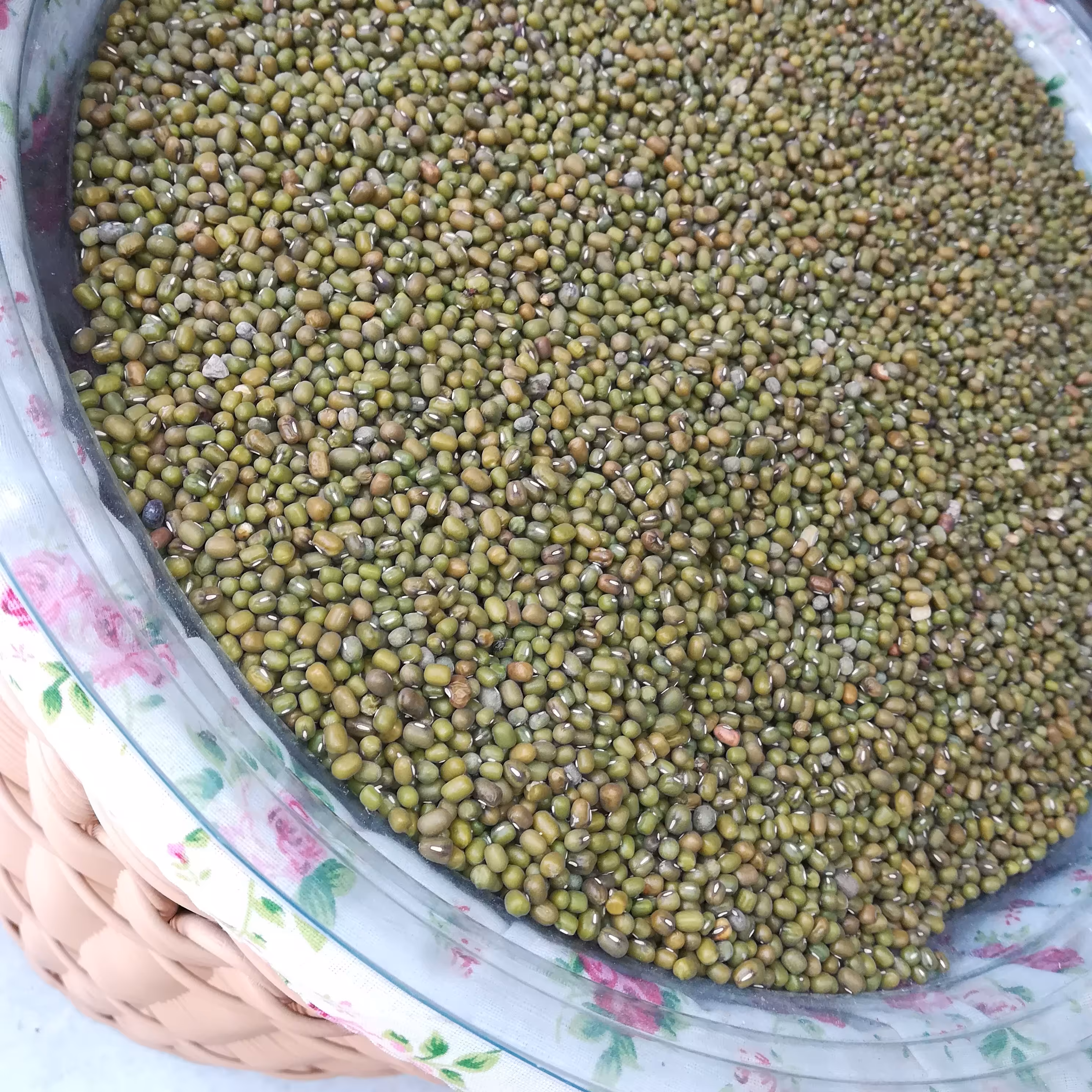 ماش یک کیلو 