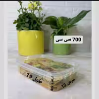 ظروف فریزری و ماکروفری 700cc پولاد