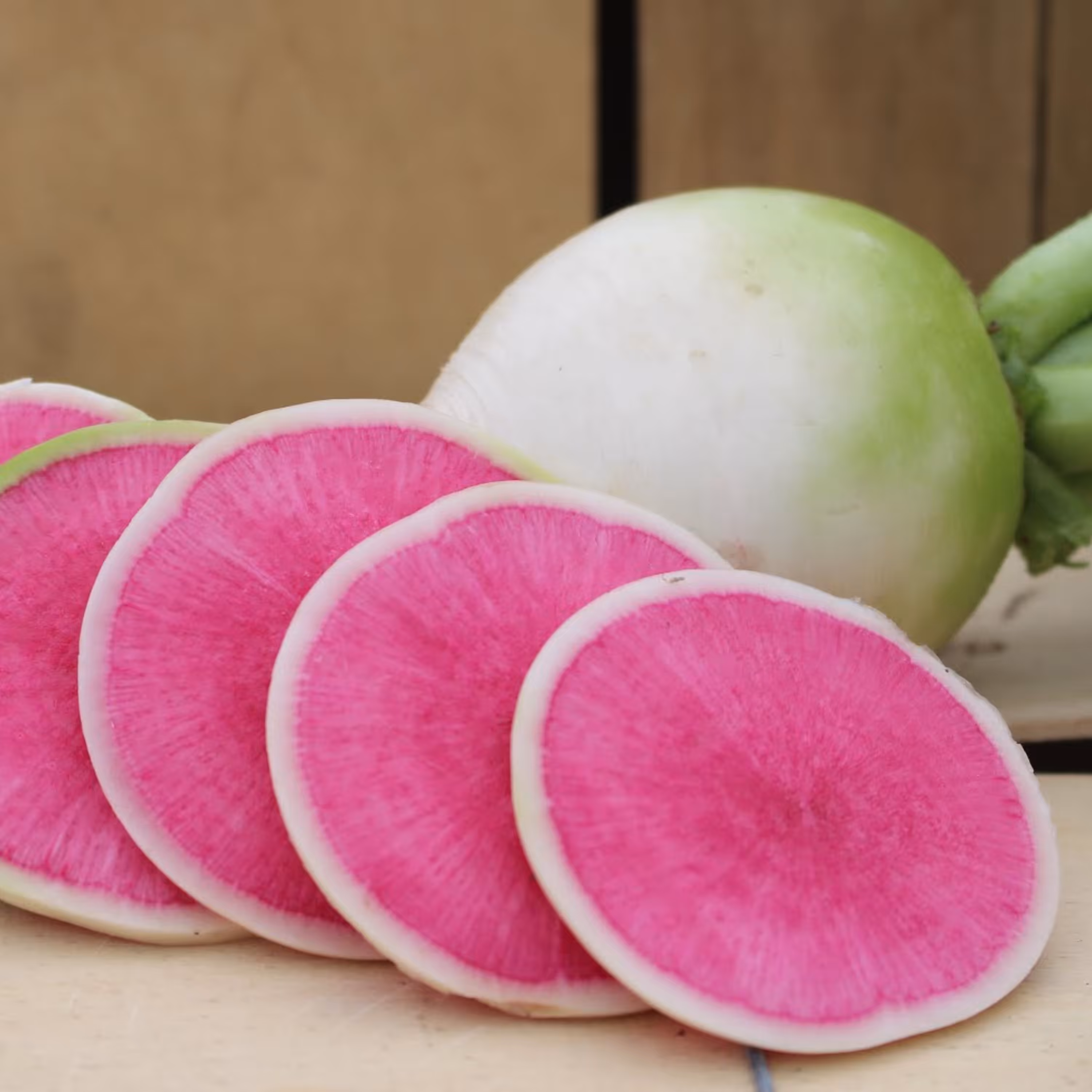 بذر ترب گوشتی قرمز چینی 20 عددی