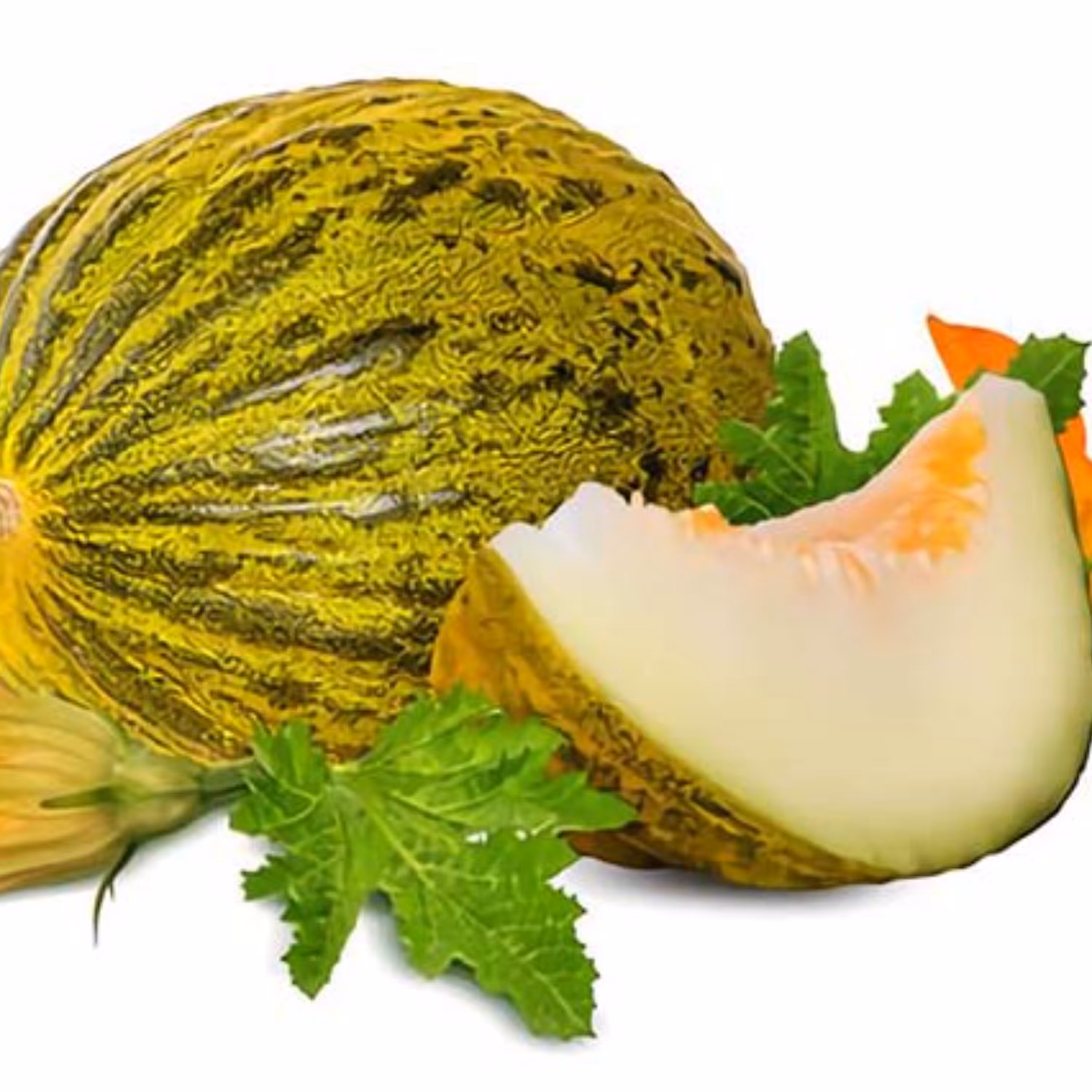 بذر ملون روشه فرانسوی فوق شیرین بسته 10 عددی