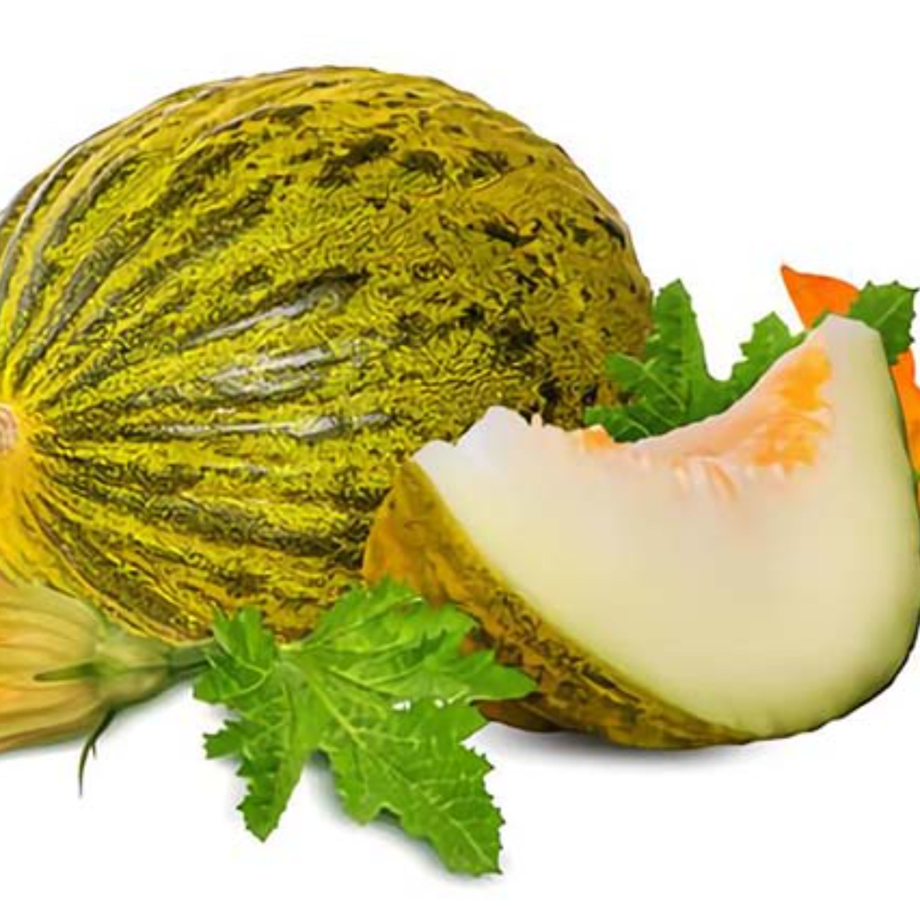 بذر ملون روشه فرانسوی فوق شیرین بسته 10 عددی