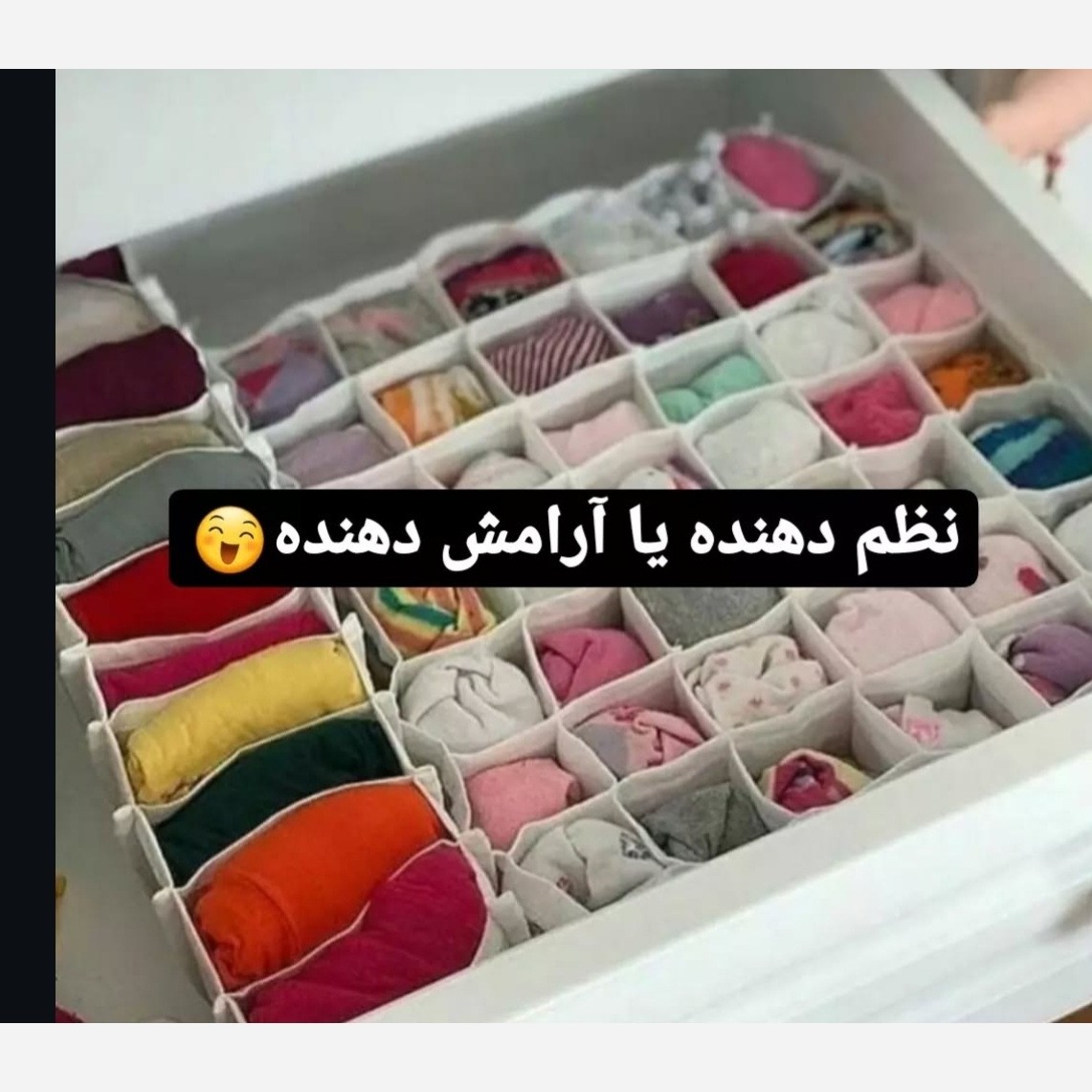 نظم دهنده
