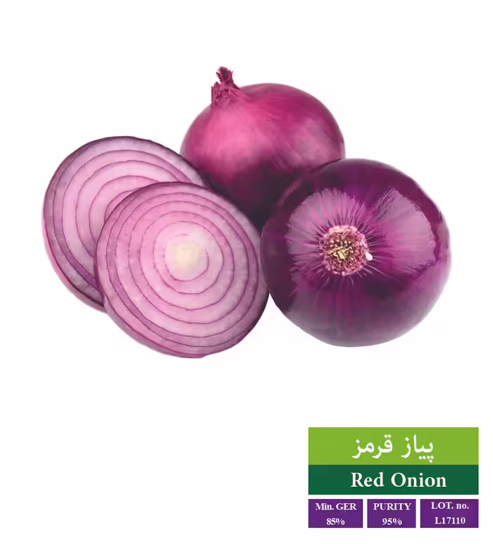 بذر پیاز قرمز - بذر طلایی رویان