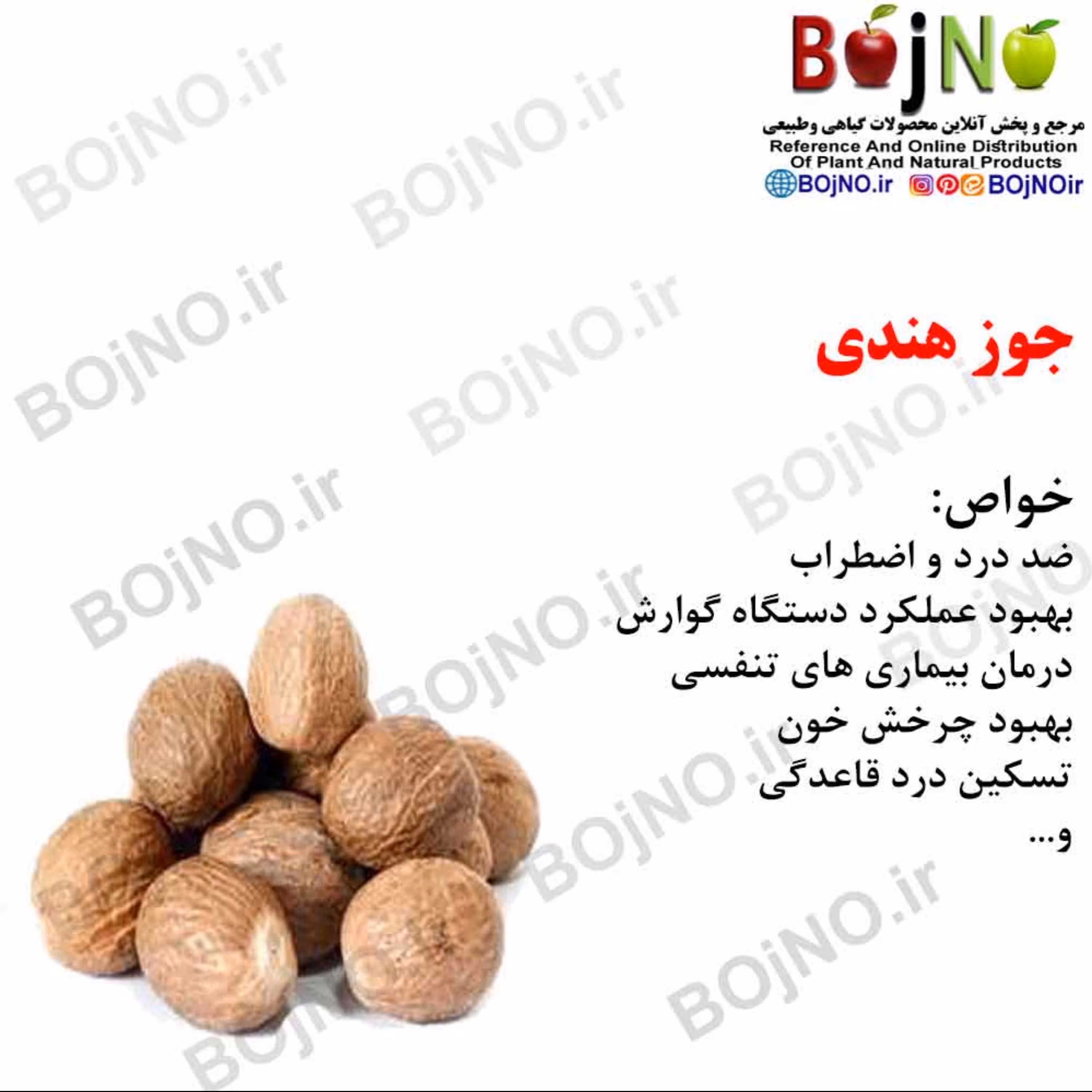جوز هندی(بسته 50گرمی)