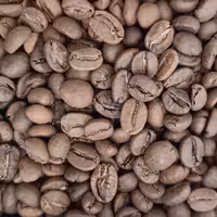 دان قهوه 50عربیکا 50 روبوستا عالی (1 کیلو)