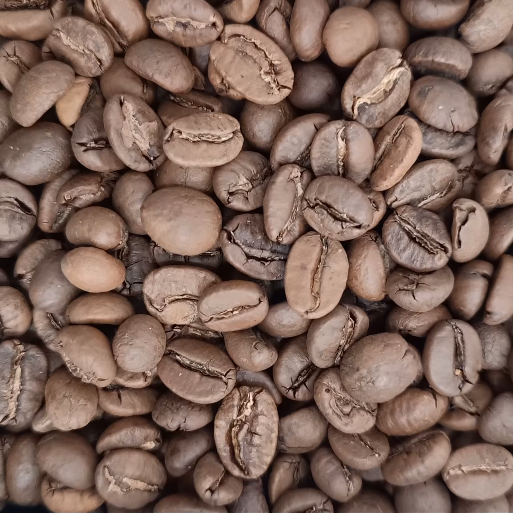 دان قهوه 50عربیکا 50 روبوستا عالی (1 کیلو)