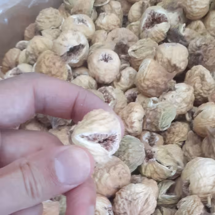 عطاری یبوست انجیر خشک هاگ گل بیدمشک عسل