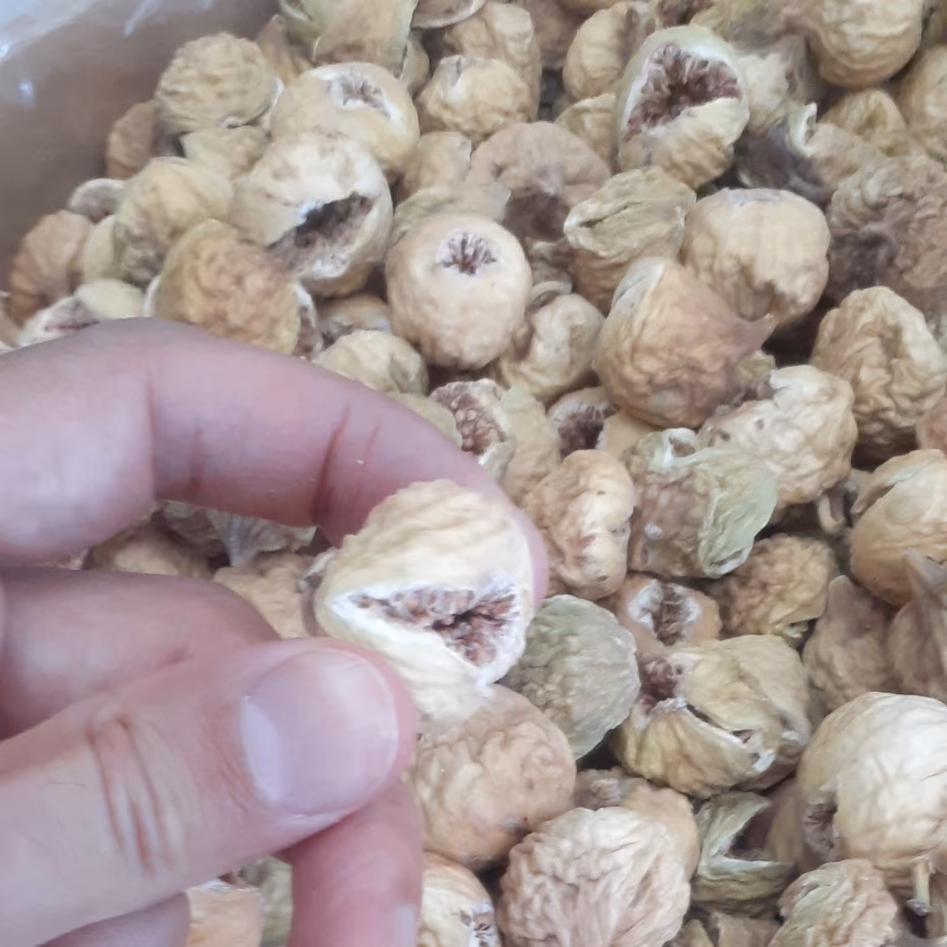 عطاری یبوست انجیر خشک هاگ گل بیدمشک عسل