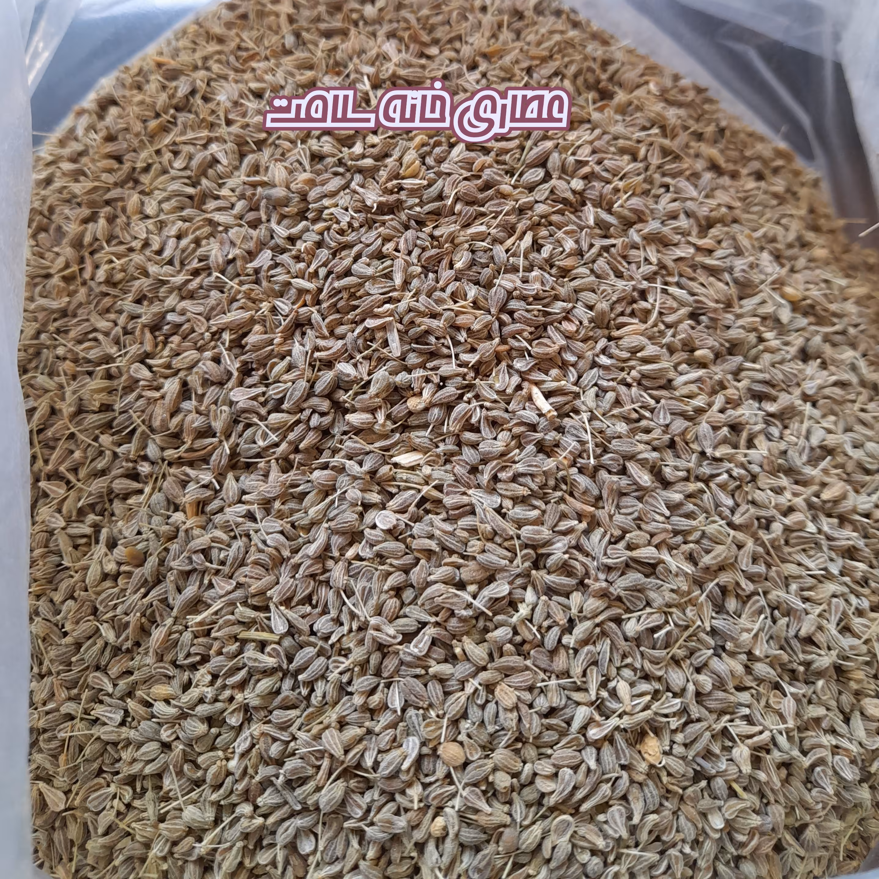 انیسون 100گرمی