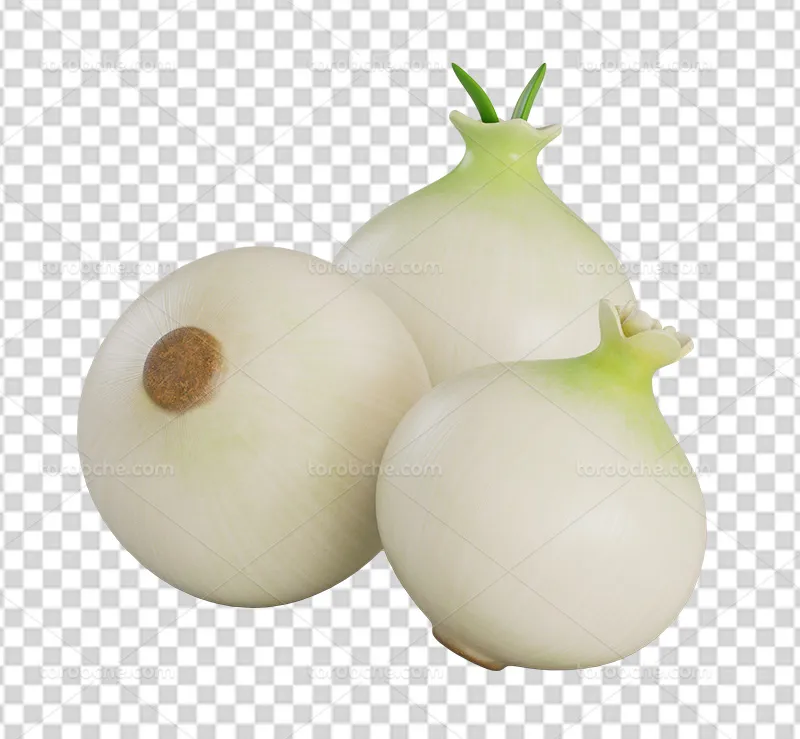 عکس PNG پیاز سفید | گرافیک با طعم تربچه