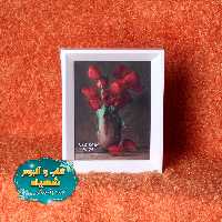 قاب عکس 16در 21 شیب راش پرندیس