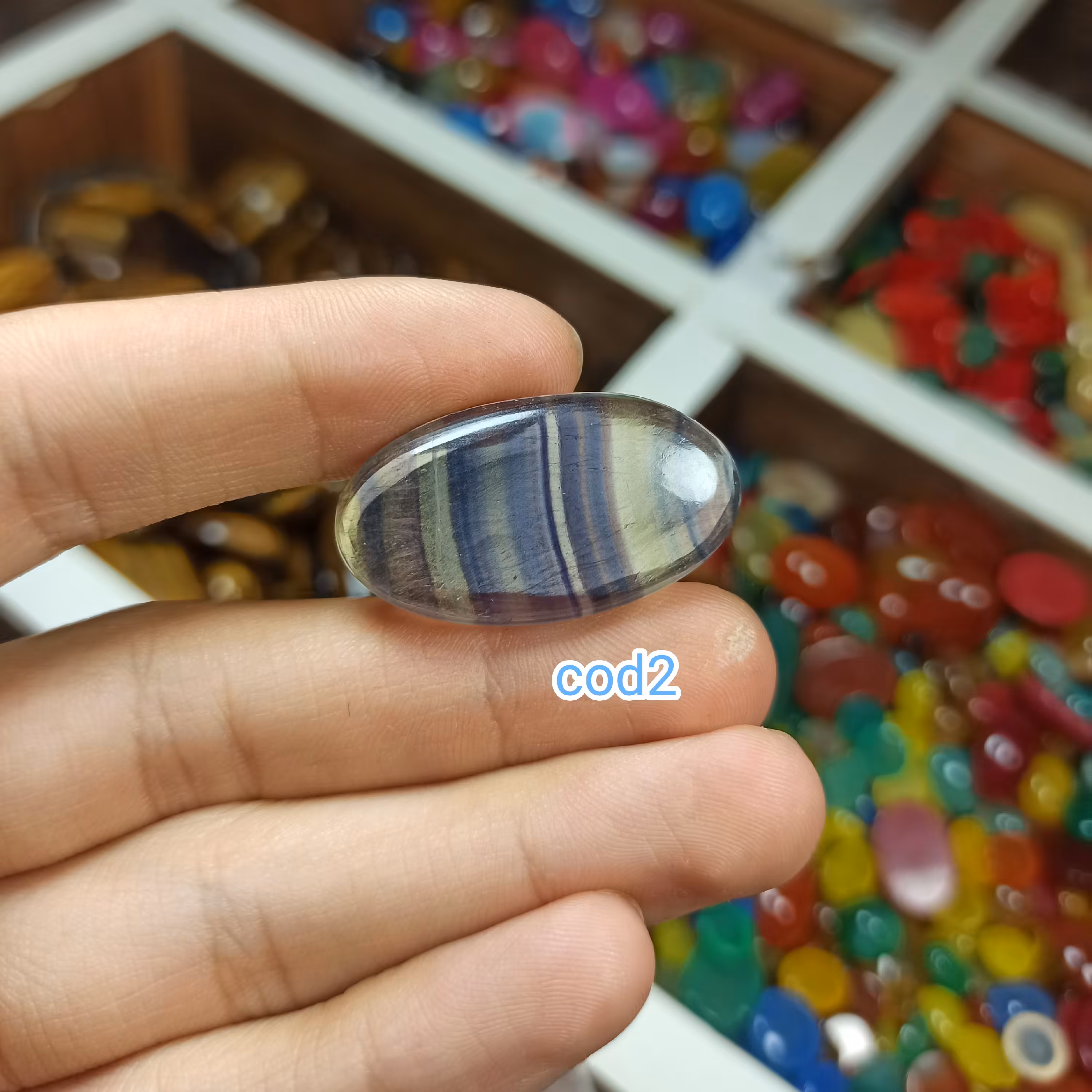 فلورین هفت رنگ