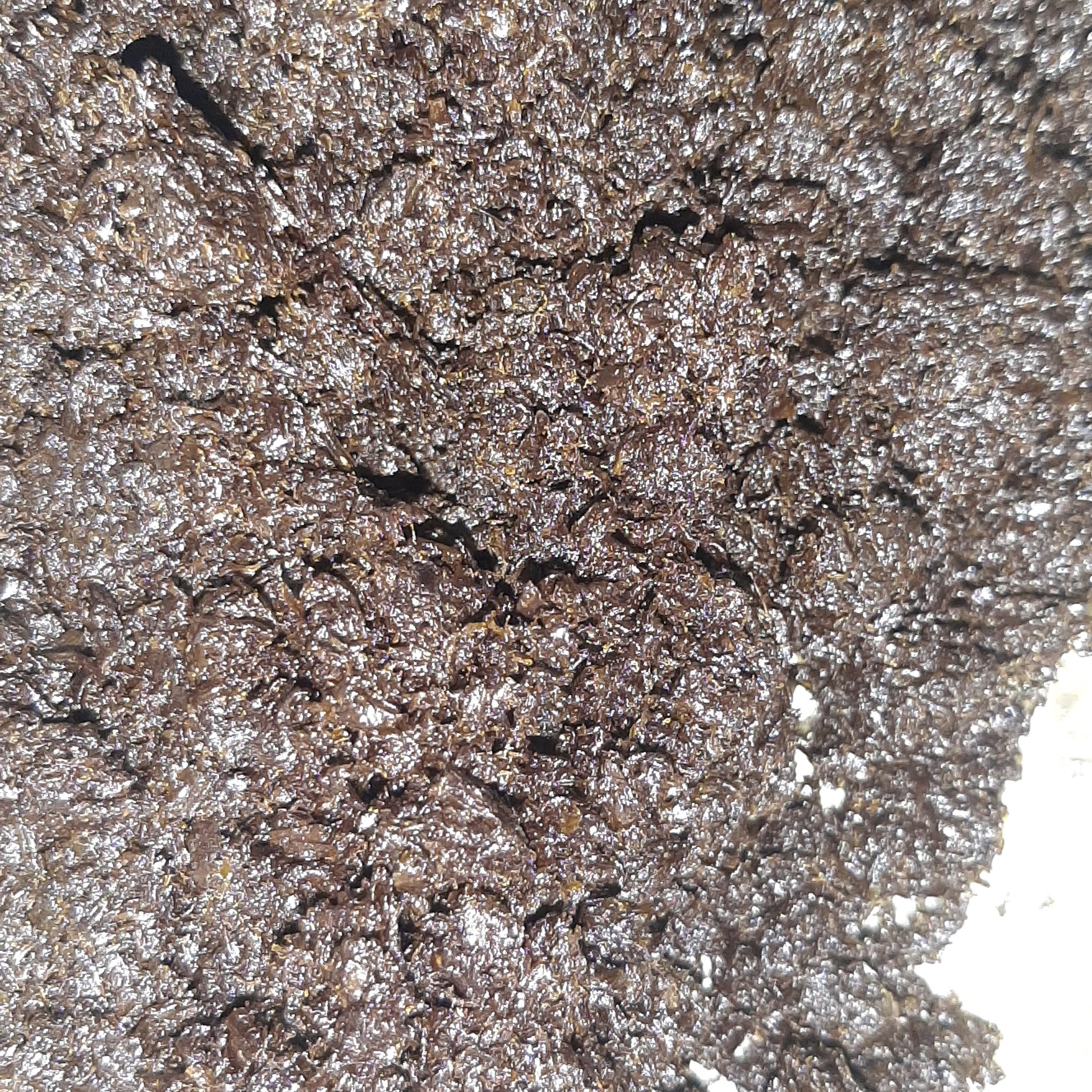 سبزی خورشتی ( 1 کیلو)