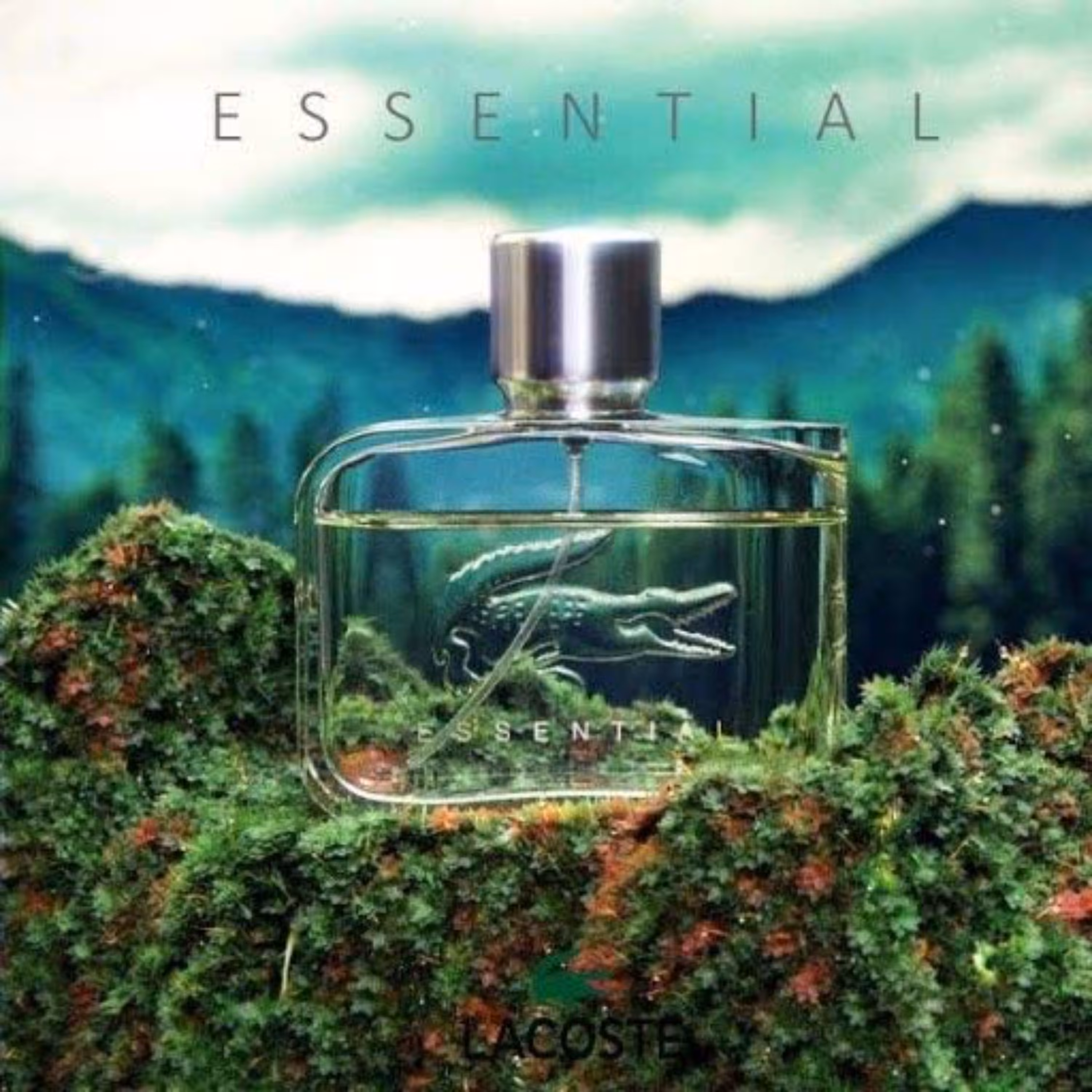 عطر 30 گرمی لاگوست اسنشیال 