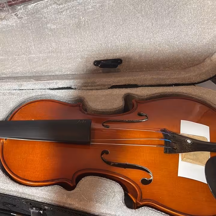 ویولن خارجی درجه یک تمام قطعات آبنوس  ( ارسال پس کرایه )