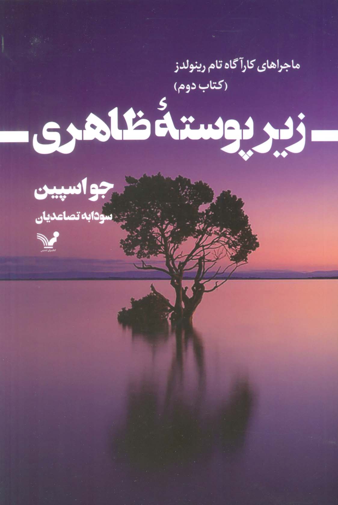 کتاب ماجراهای کارآگاه تام رینولدز 2 زیر پوسته ظاهری