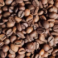  دانه قهوه  روبوستا