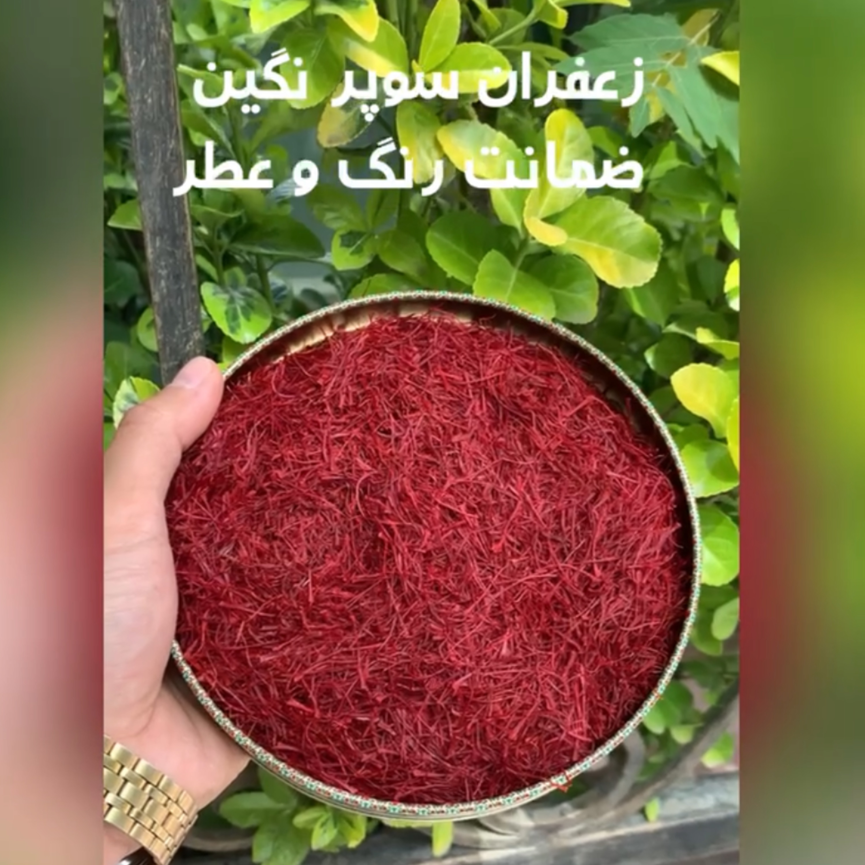 زعفران سوپر نگین ضمانتی 1 کیلویی آقای زعفران