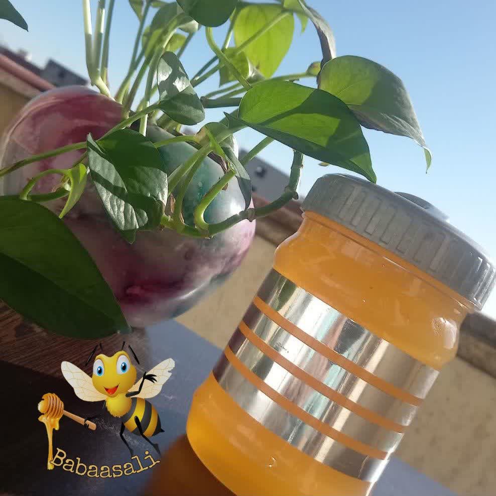 عسل ارگانیک کنجد (مزارع بهبهان خوزستان) در بسته بندی 500 گرم