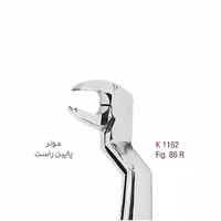 مولر پایین راست - kousha