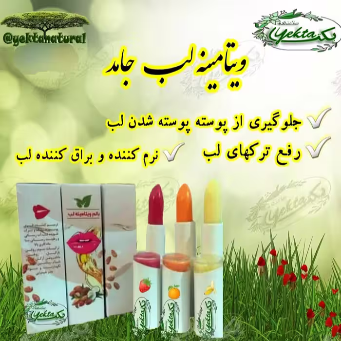 ویتامینه لب جامد