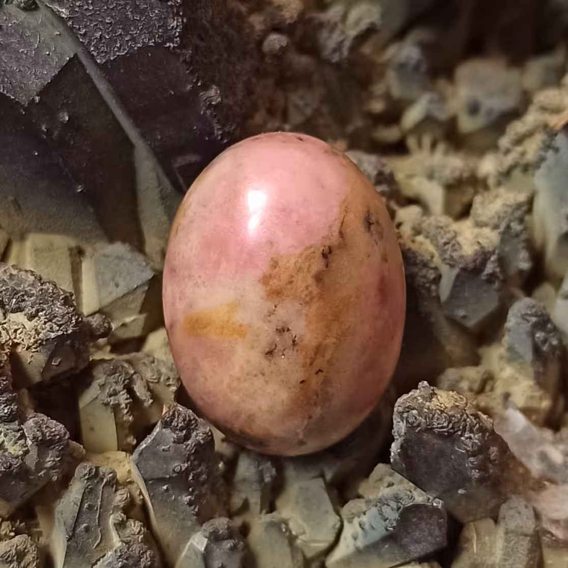 نگین سنگ رودونیت کد 655