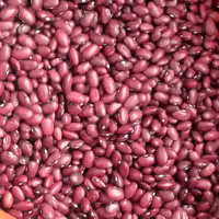 لوبیا قرمز