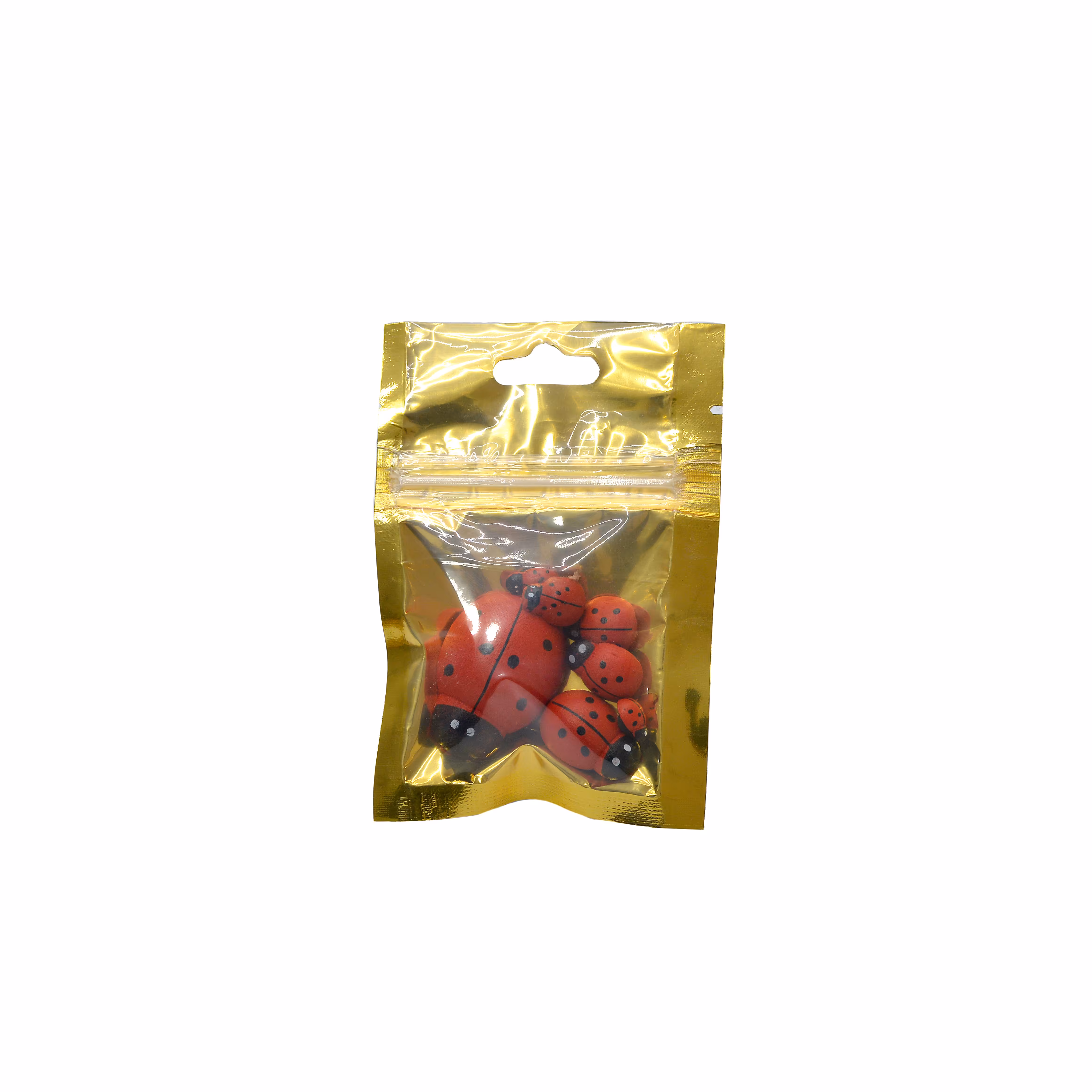 مگنت کفشدوزک پک 12 عددی 