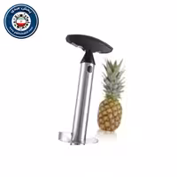 اسلایسر آناناس