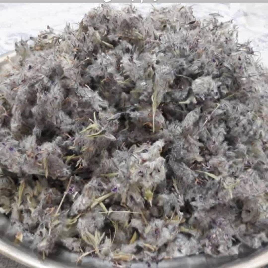 چای کوهی