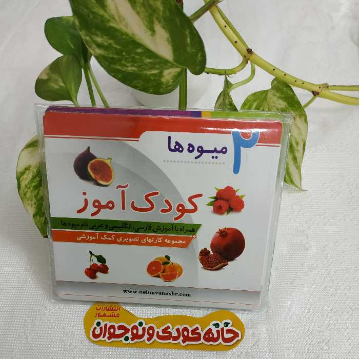 مجموعه کارت های کمک آموزشی تصویری کودک آموز « میوه ها دیدآموز »