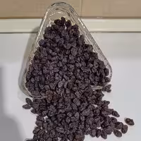 مویز قرمز شیرازی