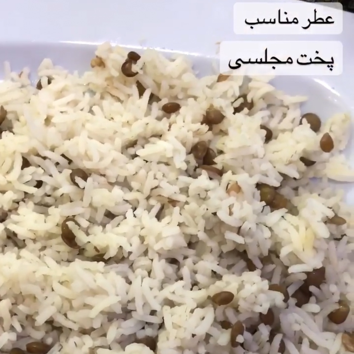 برنج فجر مجلسی ضمانت مرجوعی