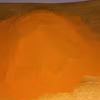 زردچوبه ممتاز آسیاب شده درجه یک