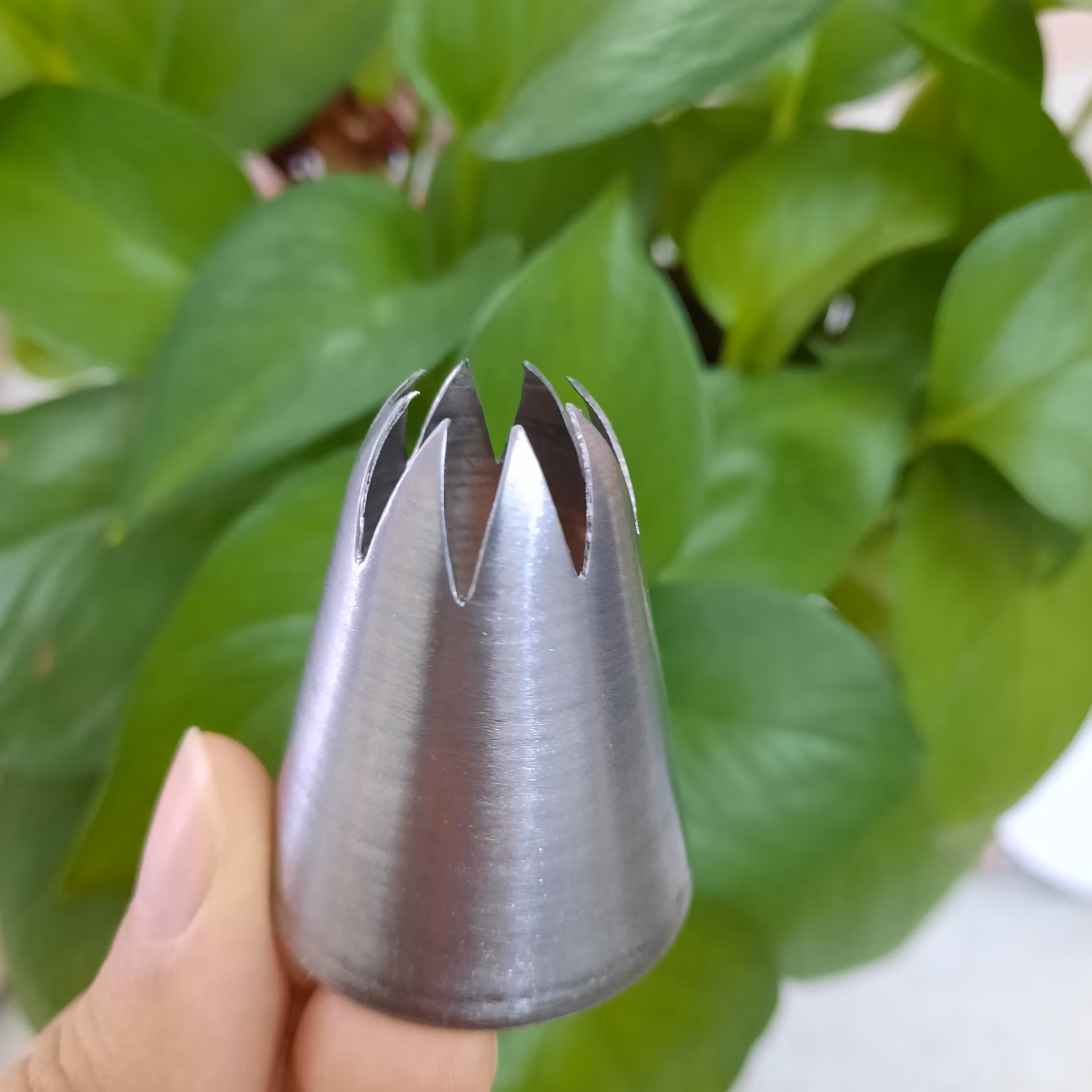 ماسوره بامیه ماه رمضان