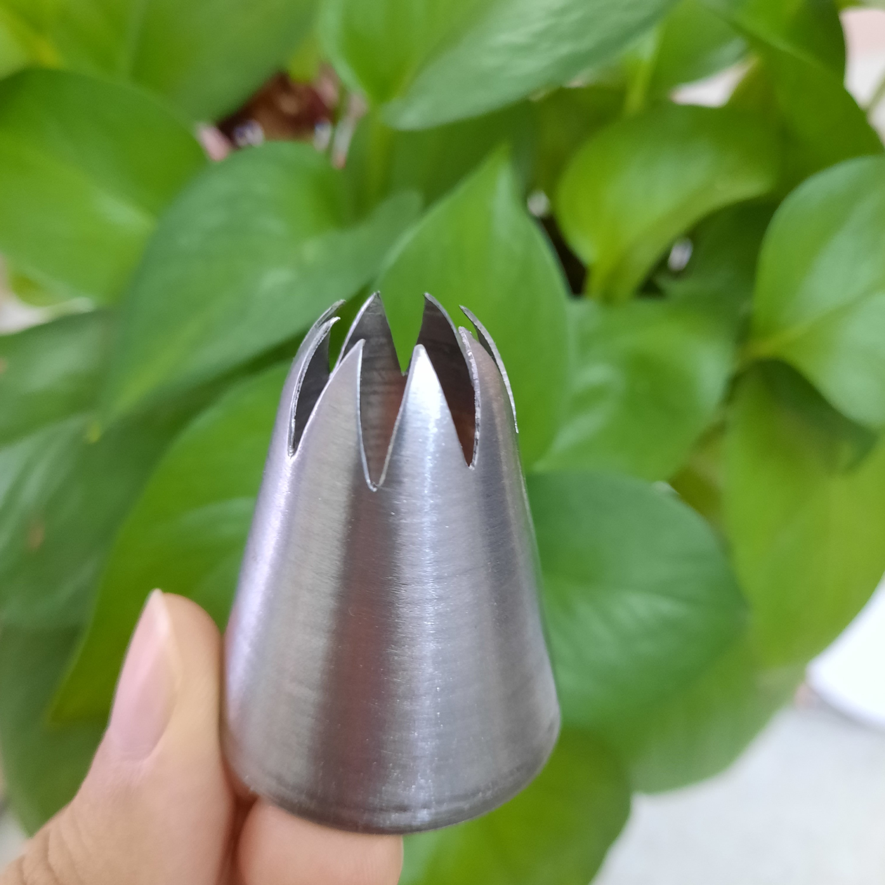 ماسوره بامیه ماه رمضان