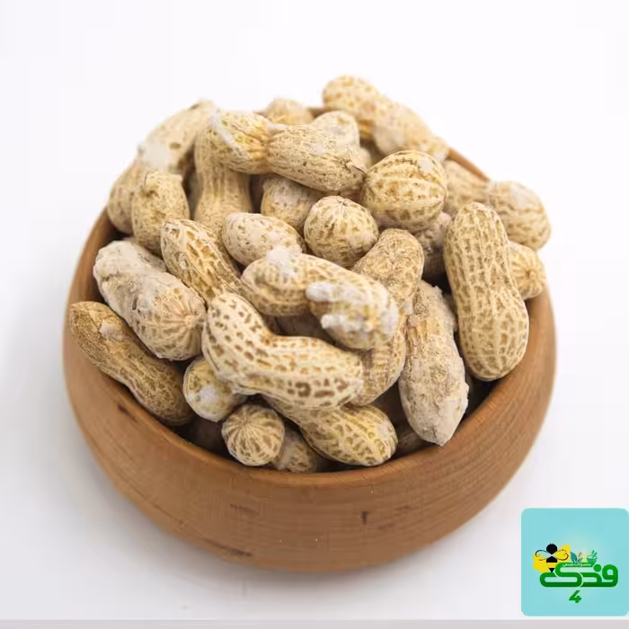 بادام زمینی غلاف دار ممتاز فدک (250گرم)