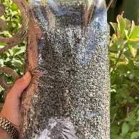 چای سبز ساچمه ای شاهپسنداصل خوش رنگ و خوش طعم 1 کیلویی اقای زعفران