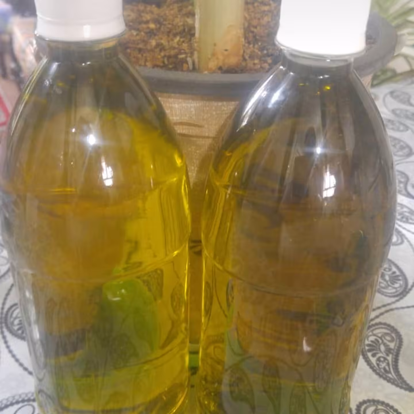 روغن زیتون تصفیه شده وبدون بو