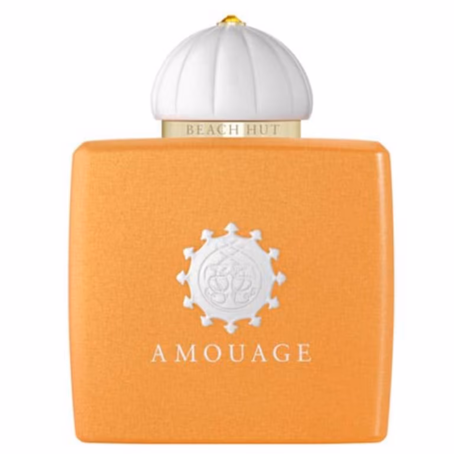 ادکلن آمواج بیچ هات زنانه Amouage Beach Hut Woman اصل و اورجینال بارکد دار  (100 میل )