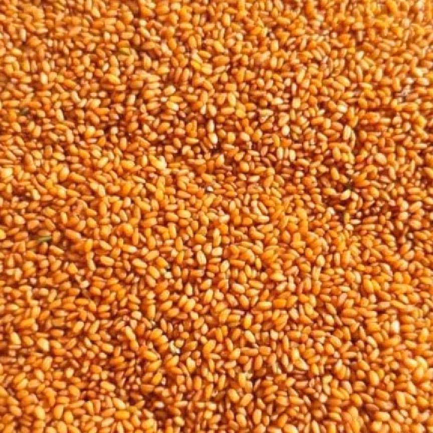 خاکشیر ارگانیک درجه یک سوپر لوکس پاک شده اماده مصرف با بهترین قیمت