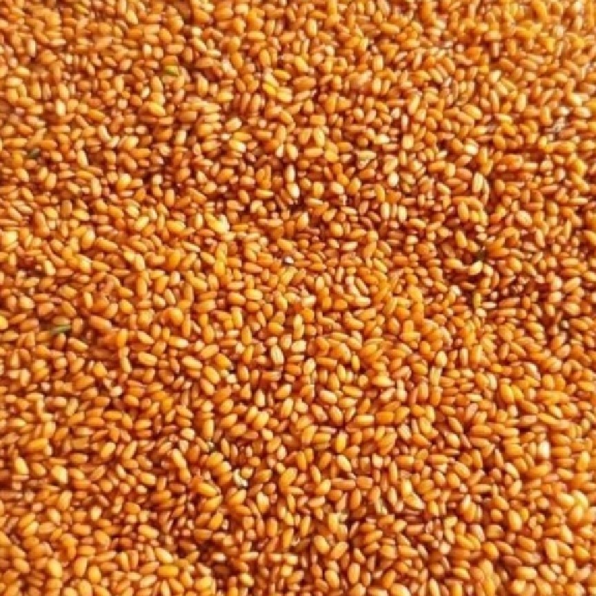 خاکشیر ارگانیک درجه یک سوپر لوکس پاک شده اماده مصرف با بهترین قیمت