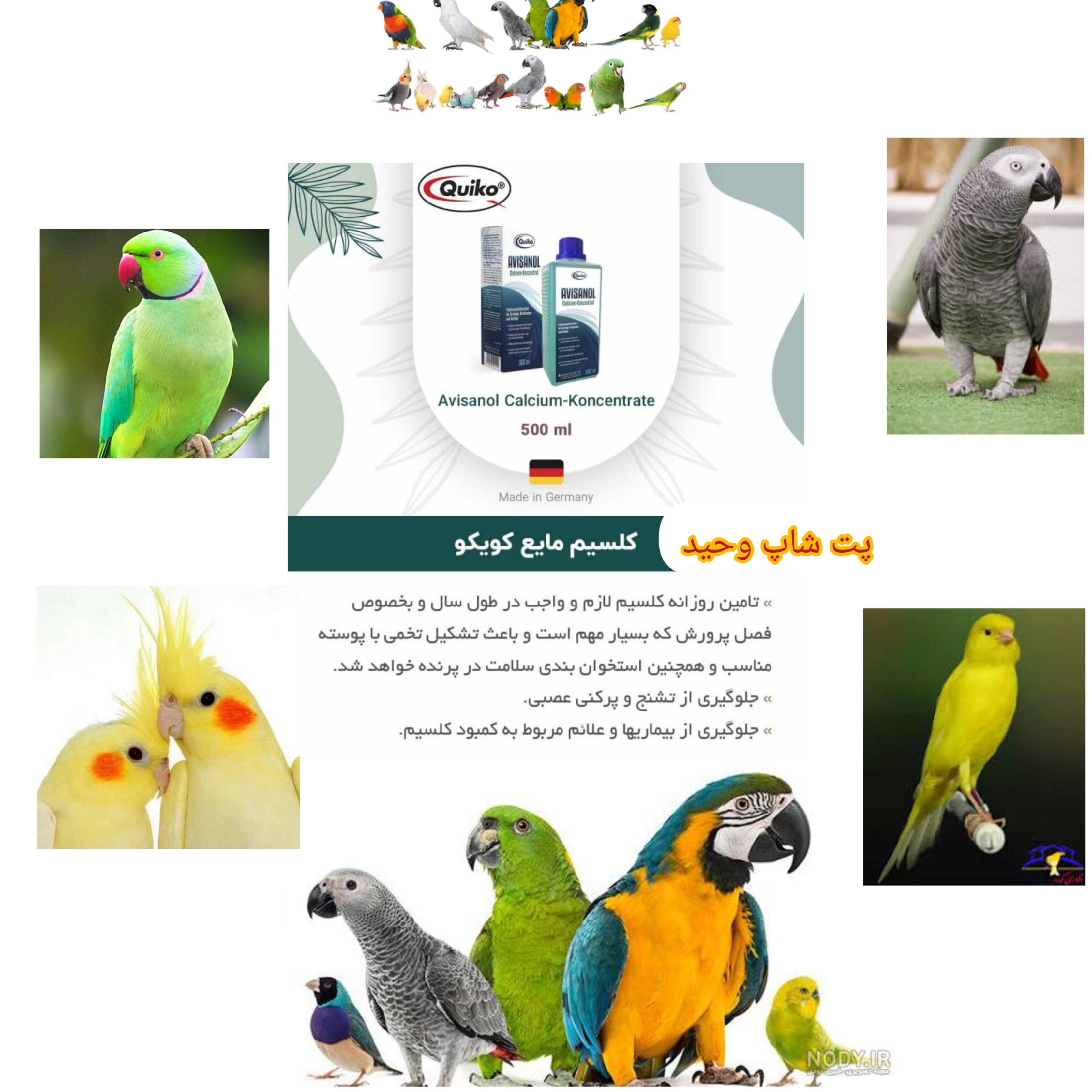 قطره کلسیم آویسانول کویکو 20میل مخصوص تمامی پرندگان