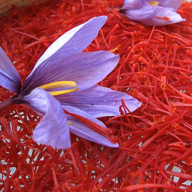 زعفران سرگل درجه یک قاینات