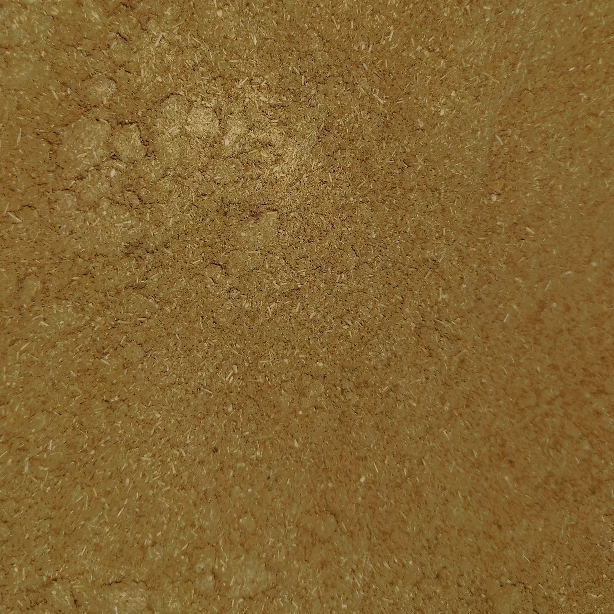 پودر گیاه گشنیز  100 گرمی ( عطاری فاطر )