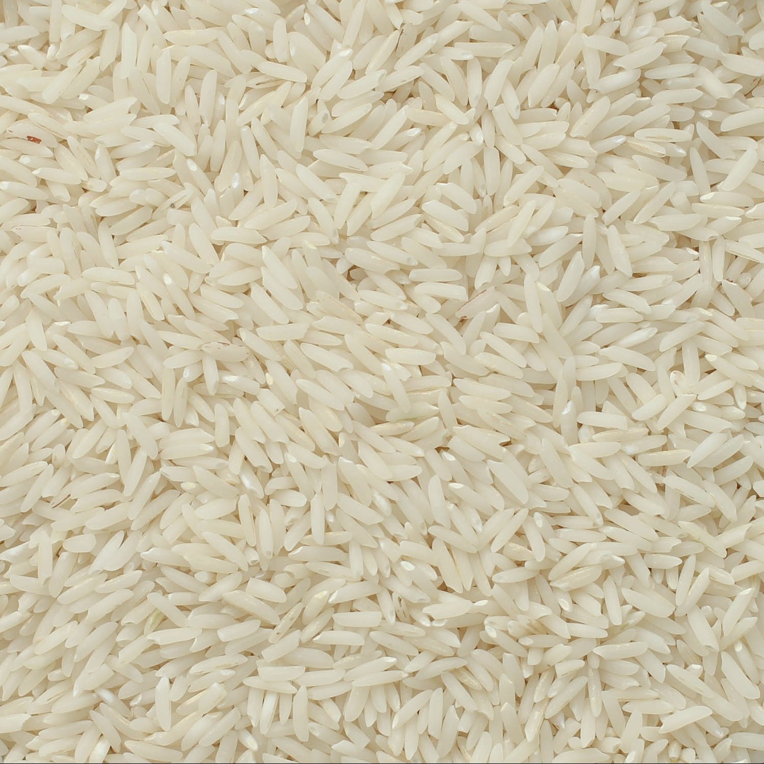 برنج طارم 20 کیلویی ارسال با باربری هزینه برعهده مشتری