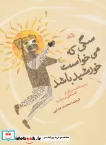 کتاب سگی که می خواست خورشید باشد و سیزده قصه دیگر از قصه های مردم آسیا | ایده بوک