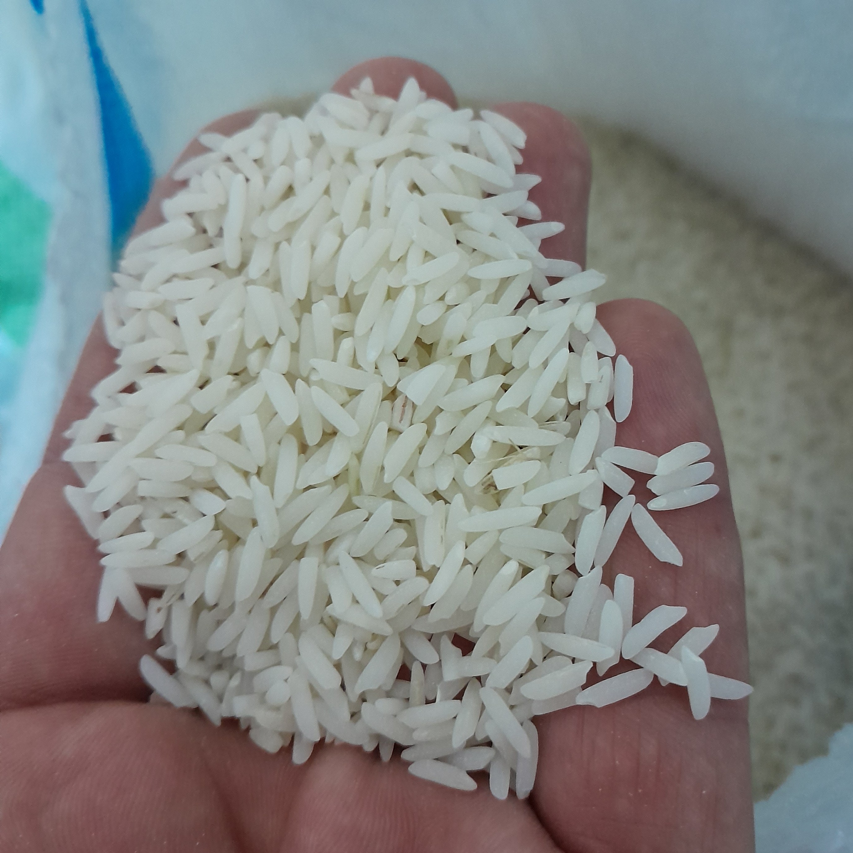 برنج دانه بلند هاشمی (10 کیلو) اعلاء صومعه سرا بدون سموم شیمیایی